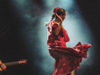 1780991427_elf-sevilla-86.jpg